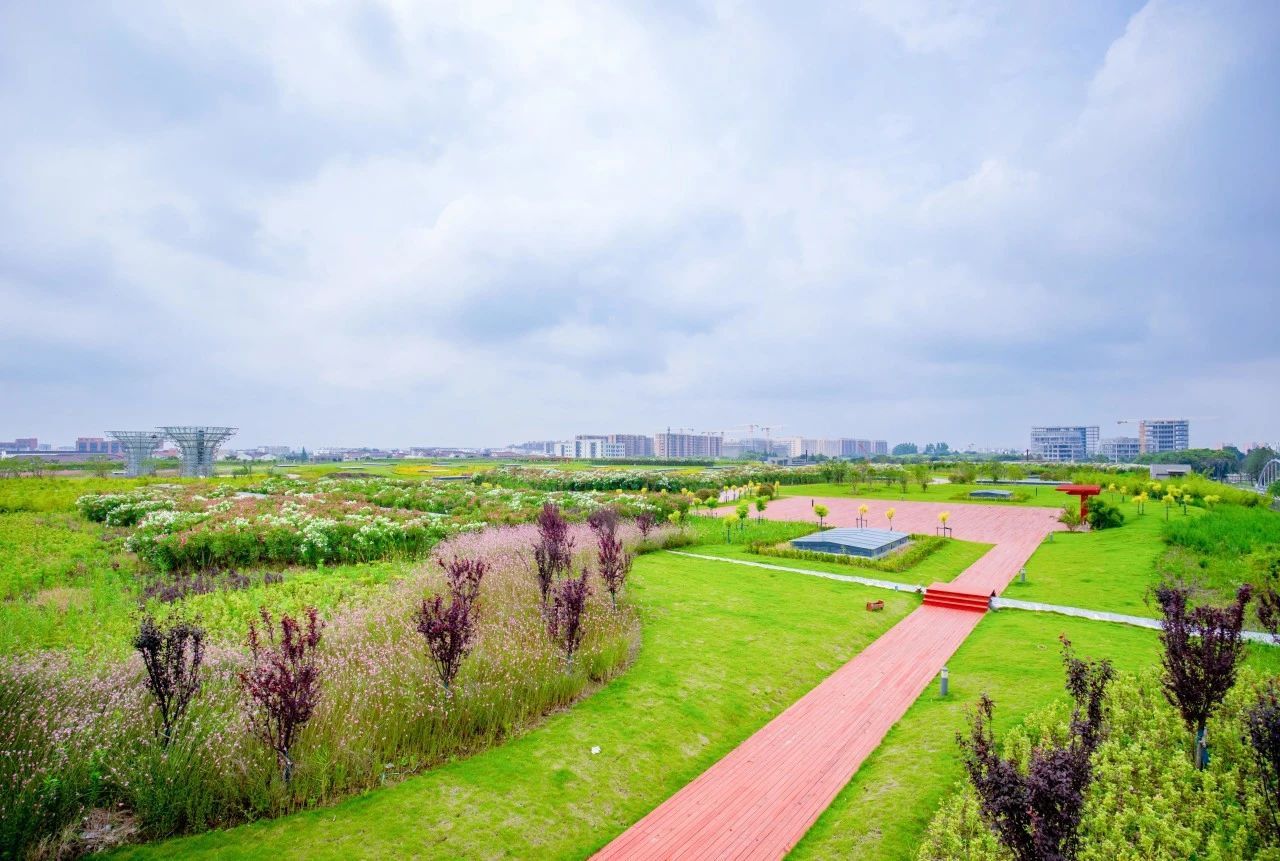 CA88水务污水公司虹桥污水处理厂荣获五星&ldquo;零碳工厂&rdquo;认证